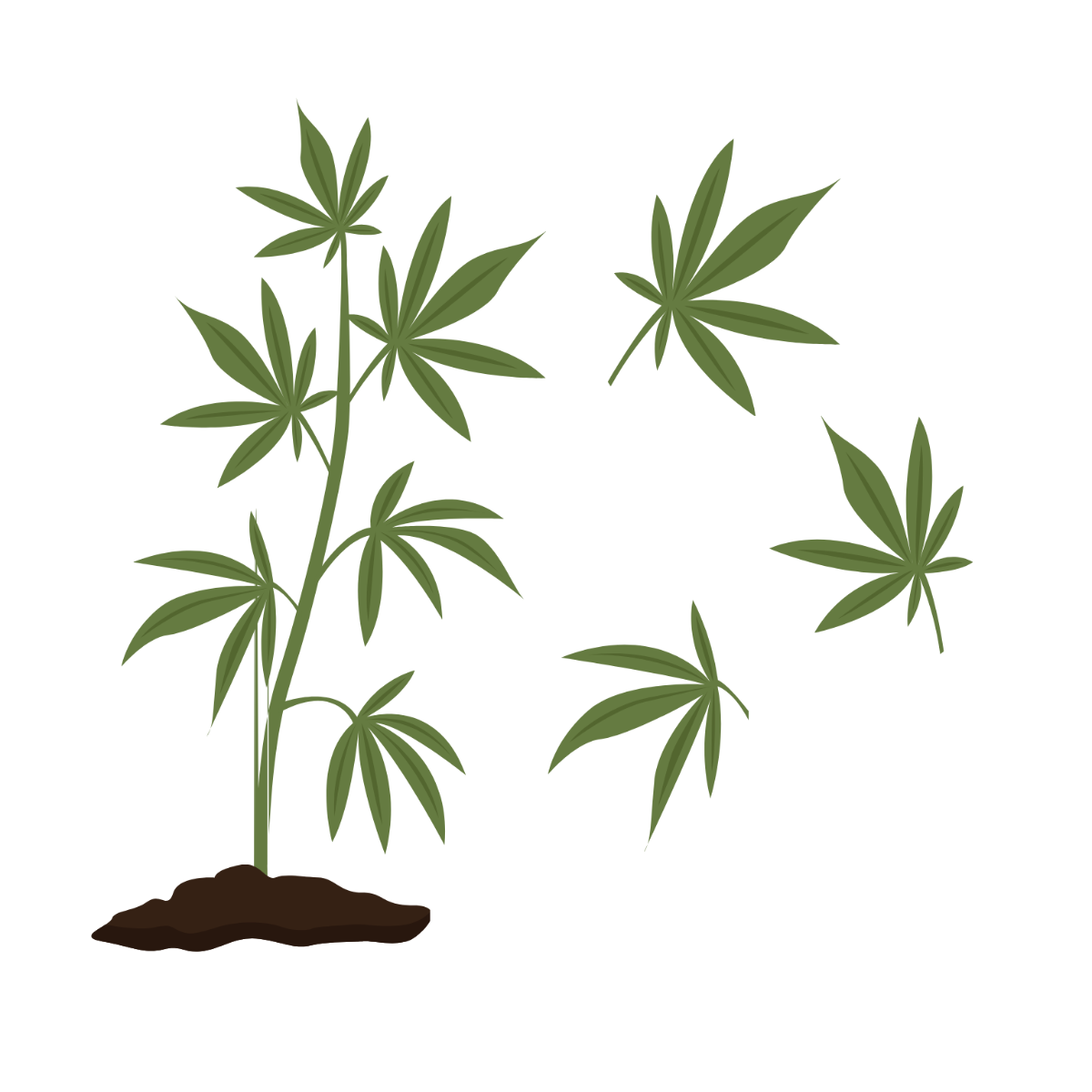 Marijuana Plant Vector Template