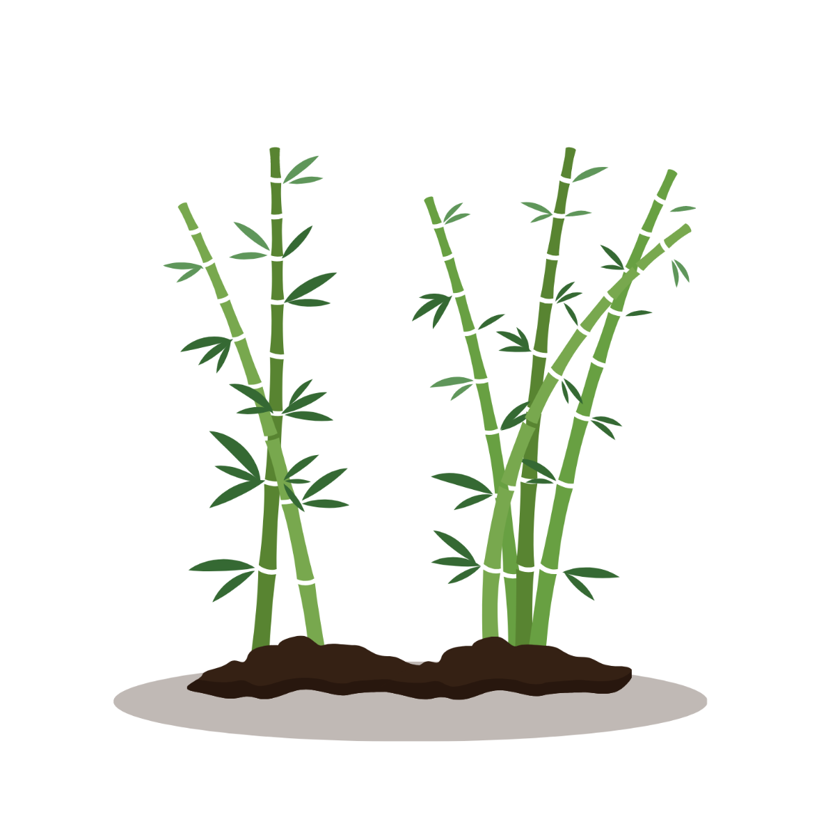 Free Bamboo Tree Vector Template