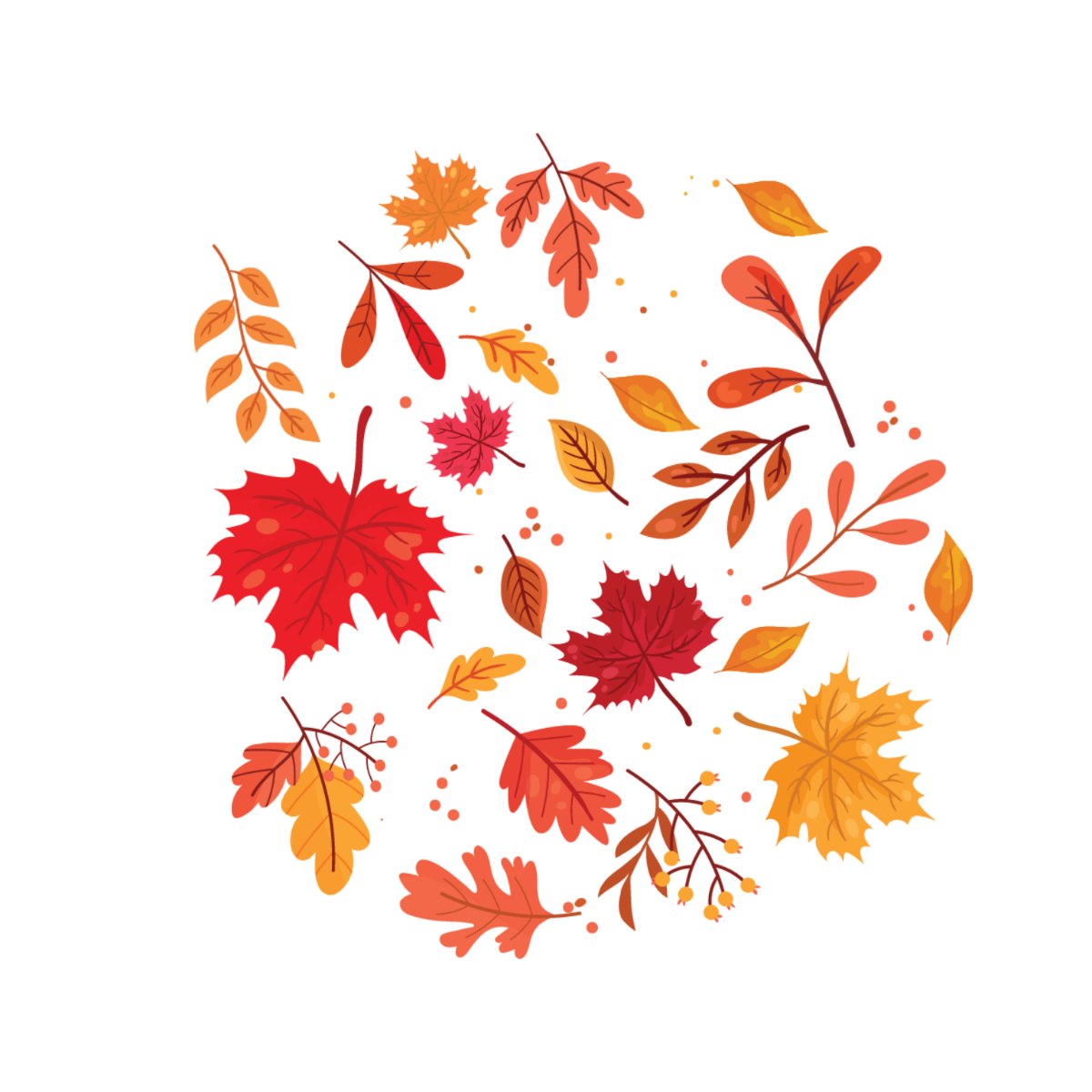 Fall Leaves Vector Template