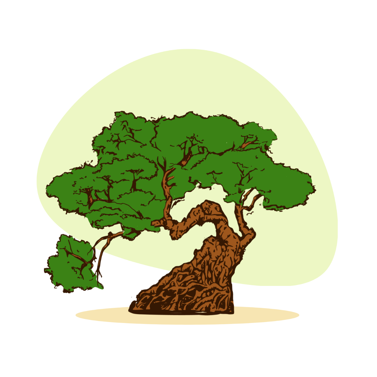 Bonsai Tree Vector Template