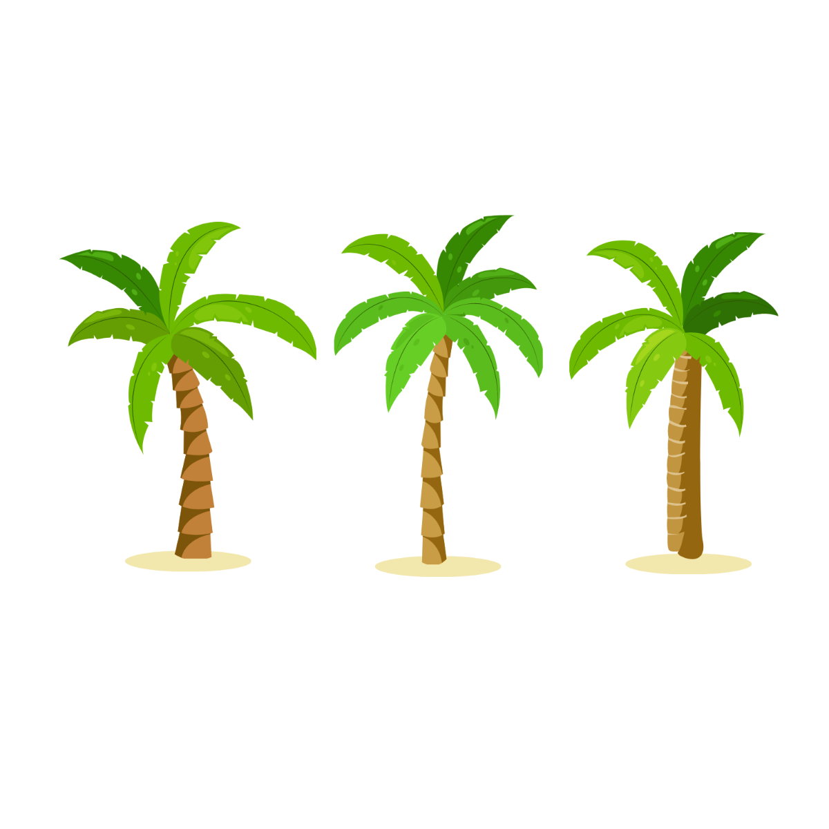 Coconut Tree Vector Template