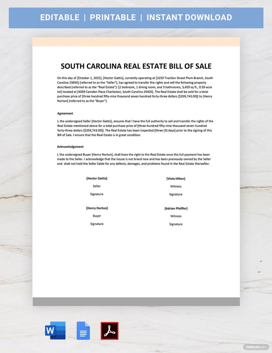 South Carolina Real Estate Bill of Sale Template in Word, Google Docs, PDF
