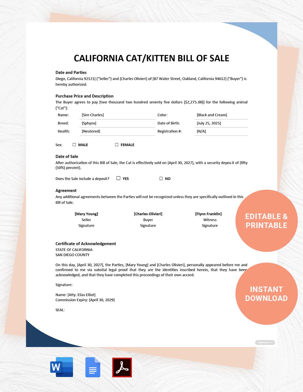 Virginia Cat/Kitten Bill of Sale Template - Google Docs, Word, PDF ...