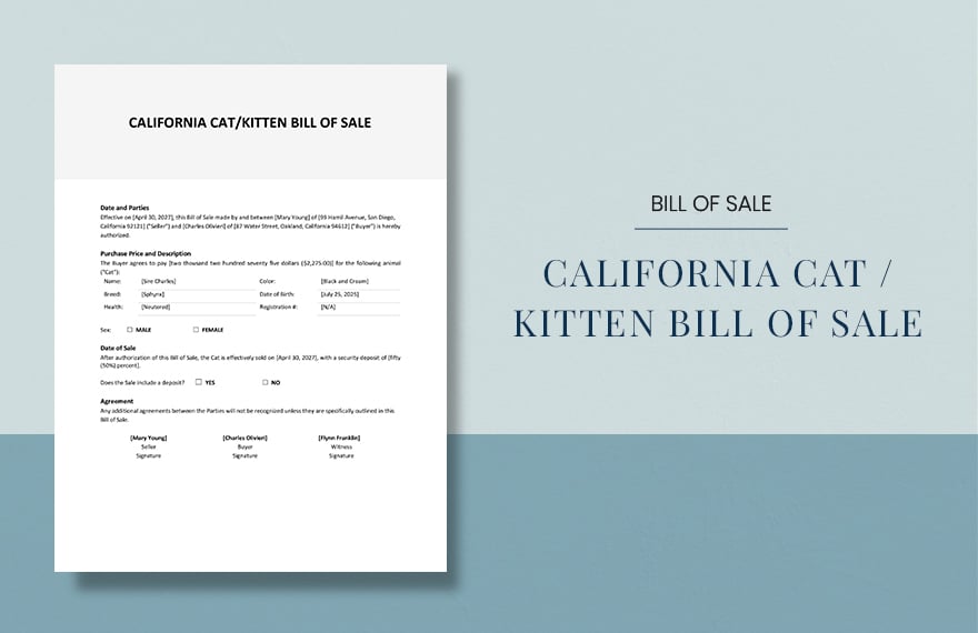 California Cat / Kitten Bill Of Sale Template