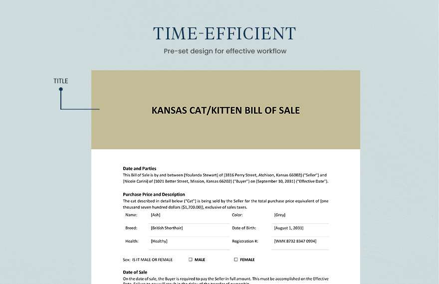 Kansas Cat / Kitten Bill of Sale Template