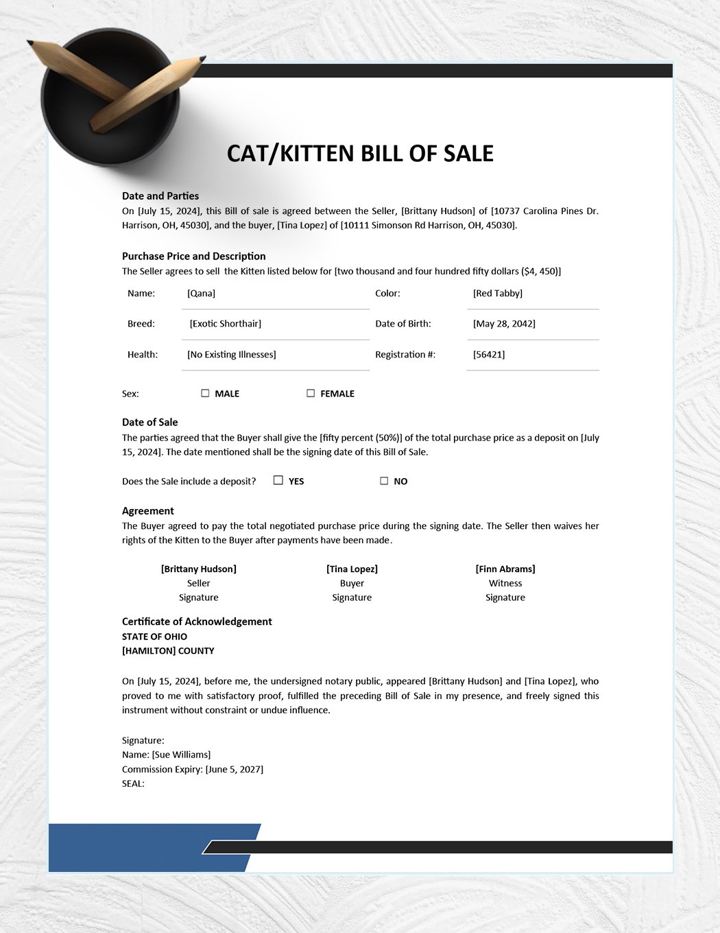 Cat / Kitten Bill of Sale Template