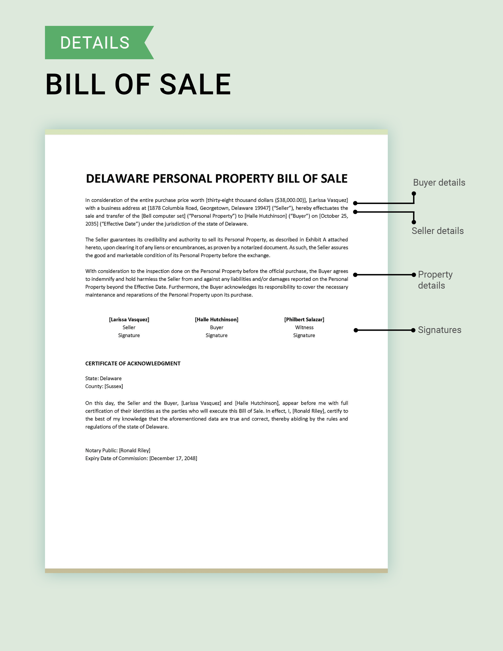 Delaware Personal Property Bill of Sale Template