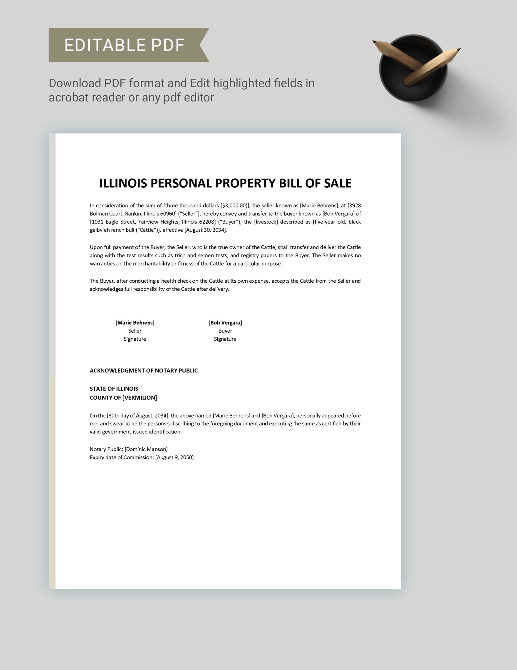 Illinois Personal Property Bill of Sale Template