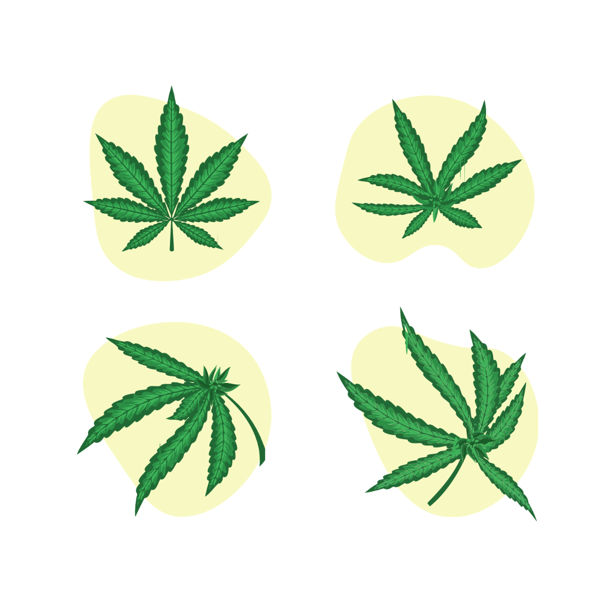 Cannabis Plant Vector Template