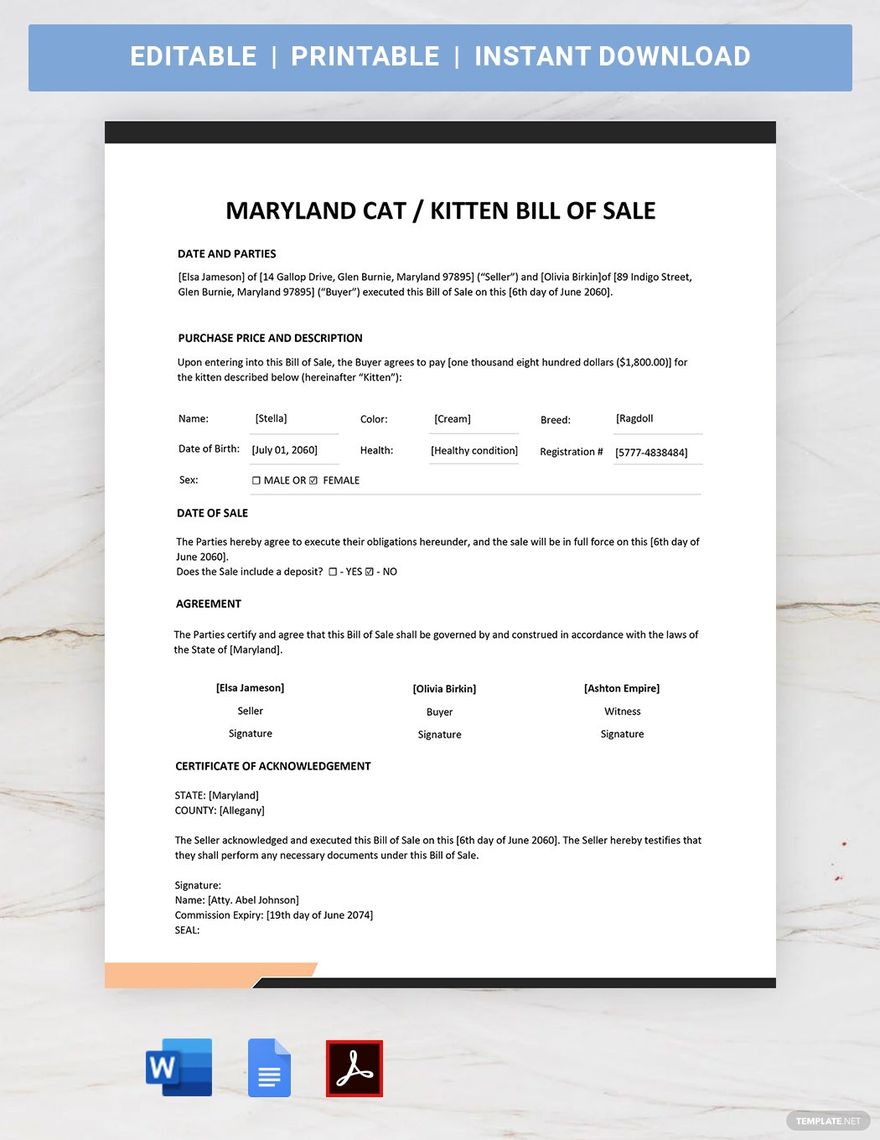 Free Maryland Cat / Kitten Bill of Sale Form Template in Word, Google Docs, PDF