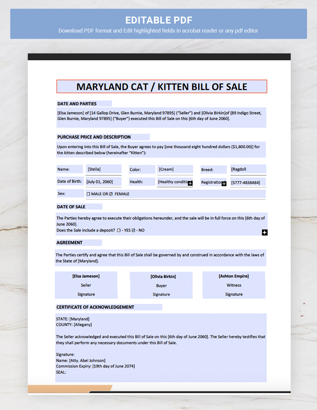 Maryland Cat / Kitten Bill of Sale Form Template