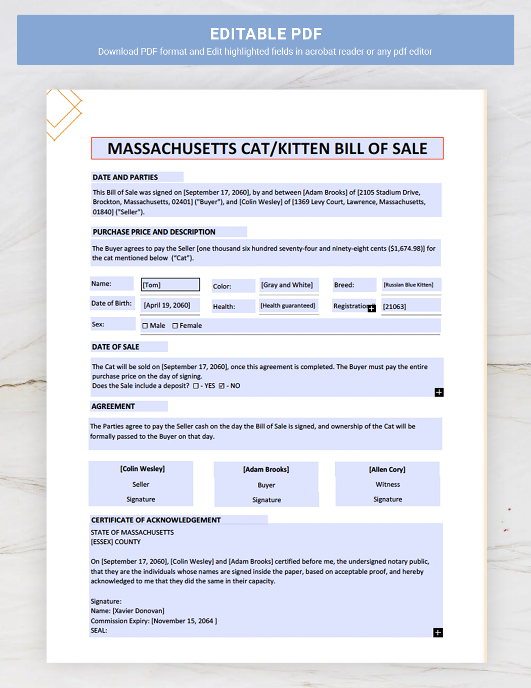 Massachusetts Cat / Kitten Bill of Sale Template