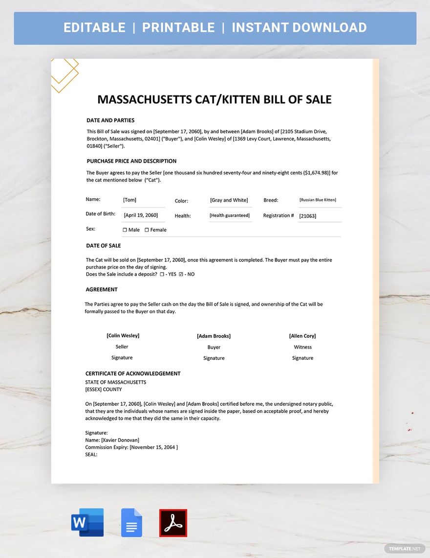 Massachusetts Cat / Kitten Bill of Sale Template in Word, Google Docs, PDF