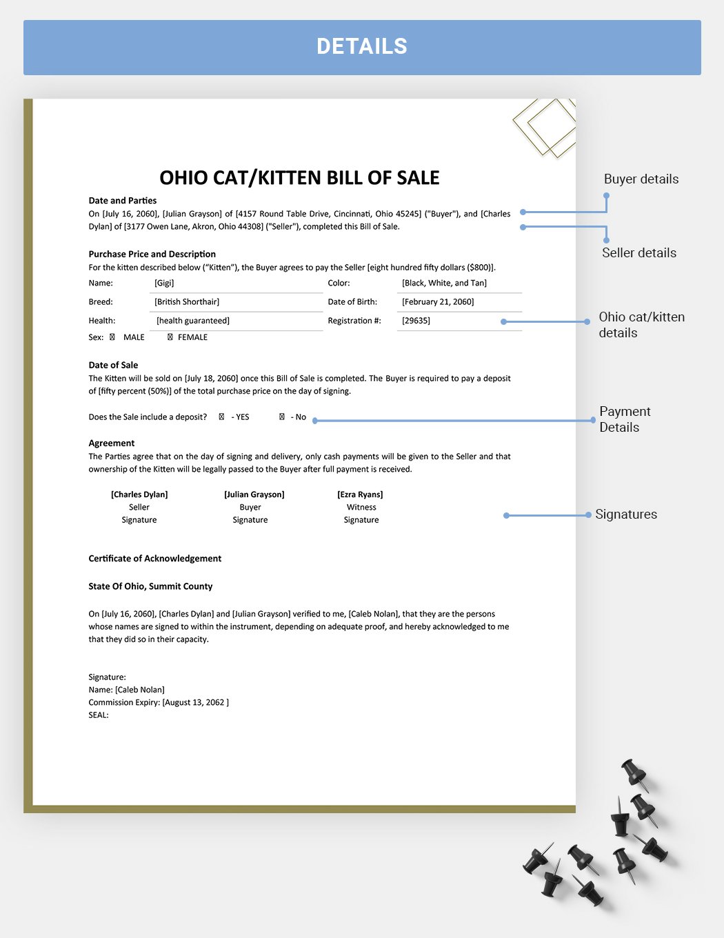 Ohio Cat / Kitten Bill Of Sale Template