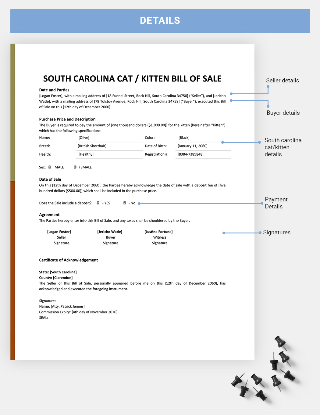 South Carolina Cat / Kitten Bill Of Sale Template