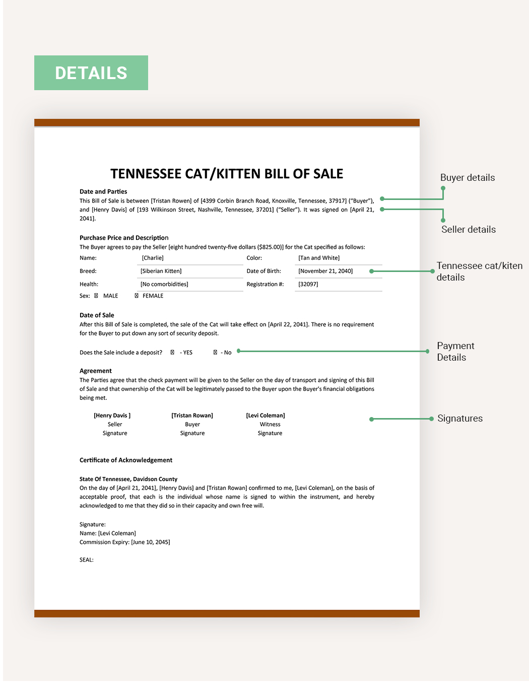Tennessee Cat / Kitten Bill Of Sale Form Template