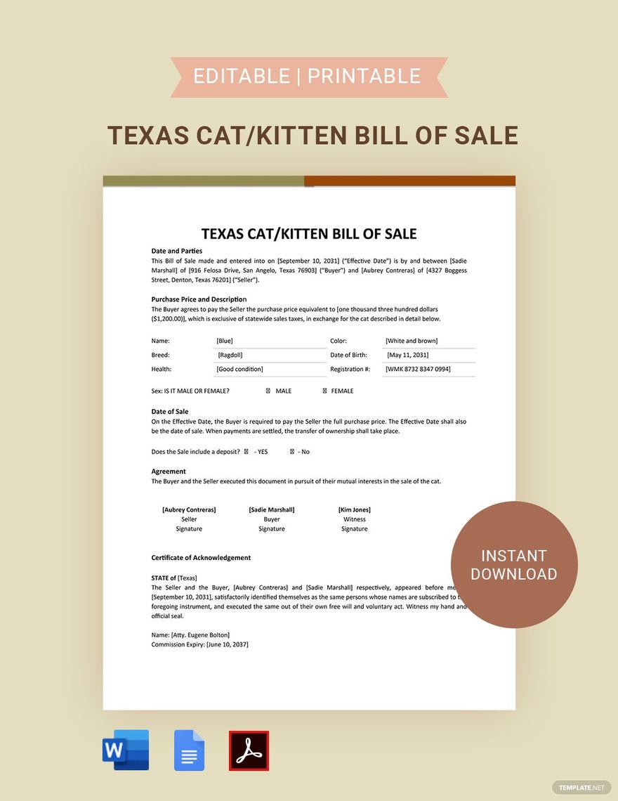 Texas Cat / Kitten Bill Of Sale Template in Word, Google Docs, PDF