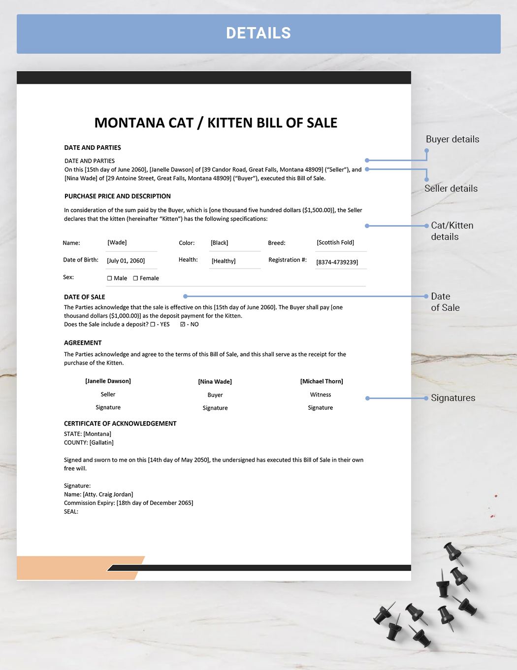 Montana Cat / Kitten Bill of Sale Template