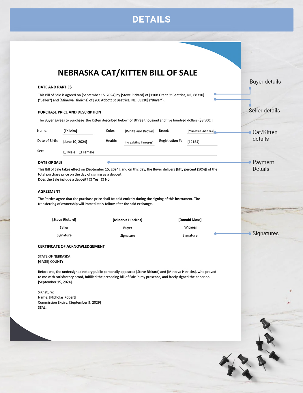 Nebraska Cat / Kitten Bill of Sale Template