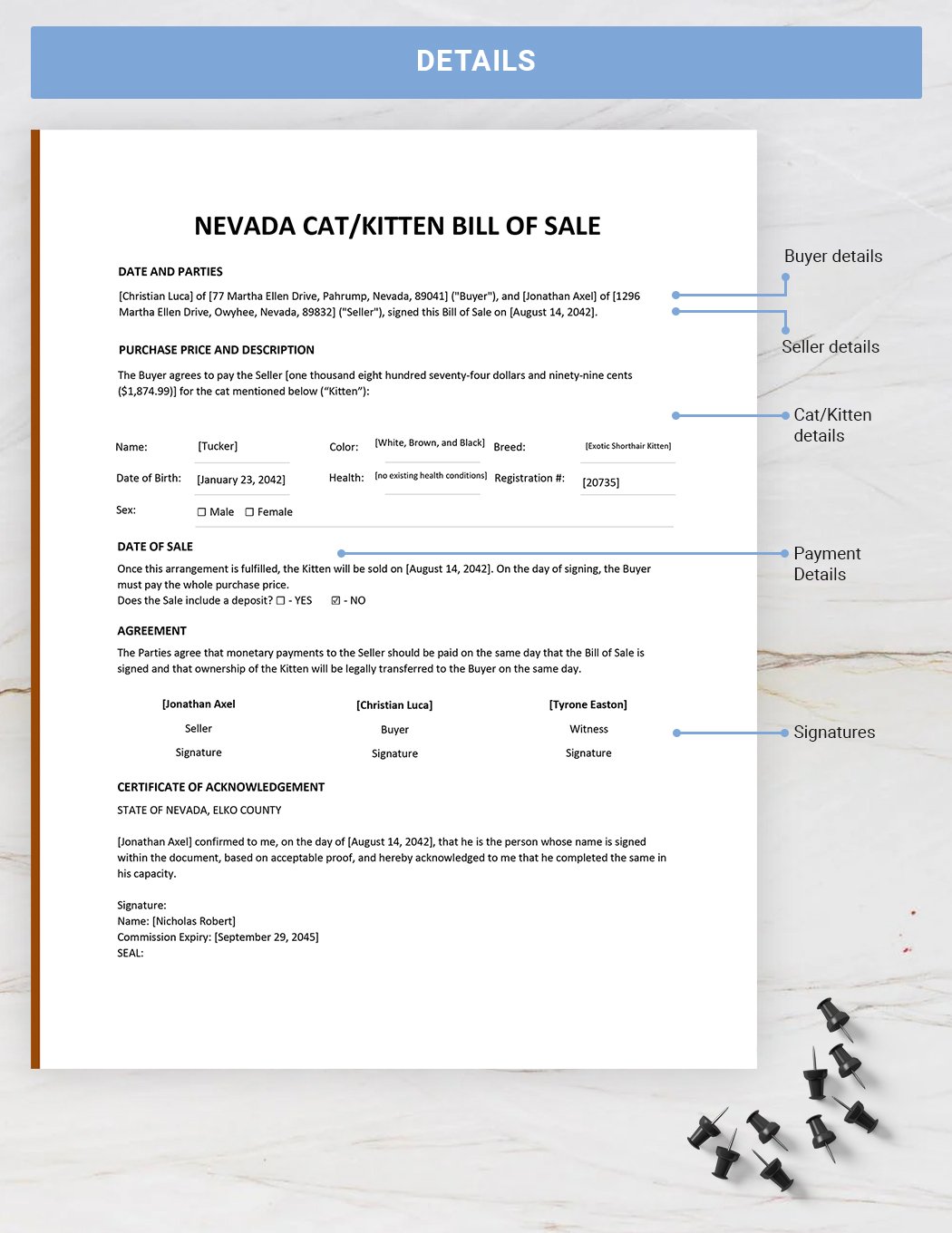 Nevada Cat / Kitten Bill of Sale Template