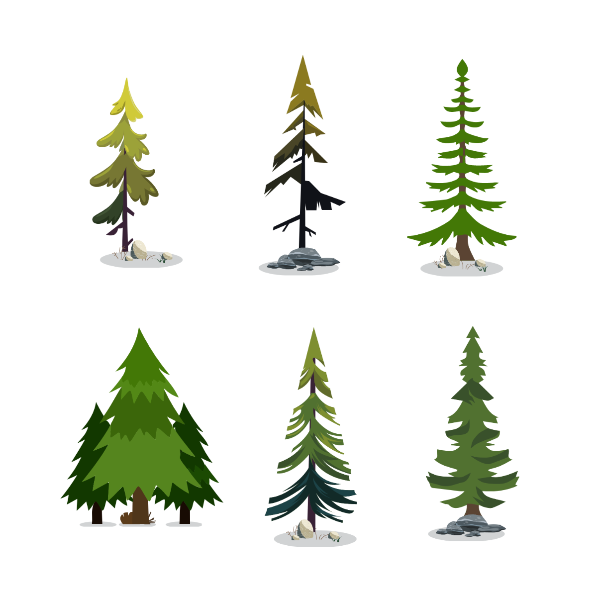 Pine Tree Vector Template