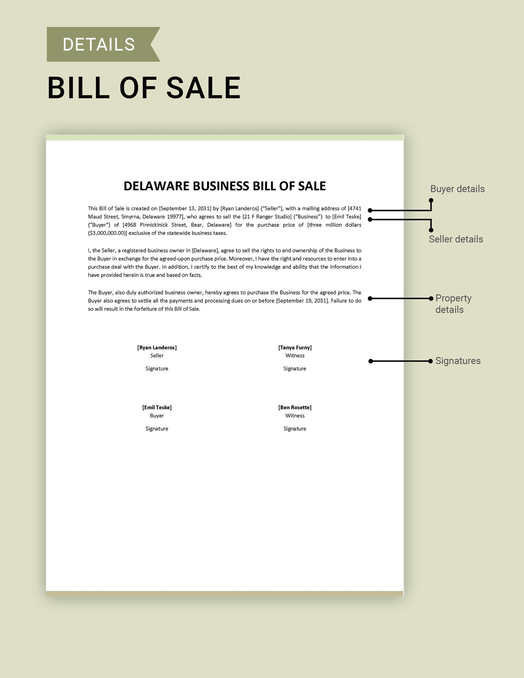 Delaware Business Bill of Sale Template