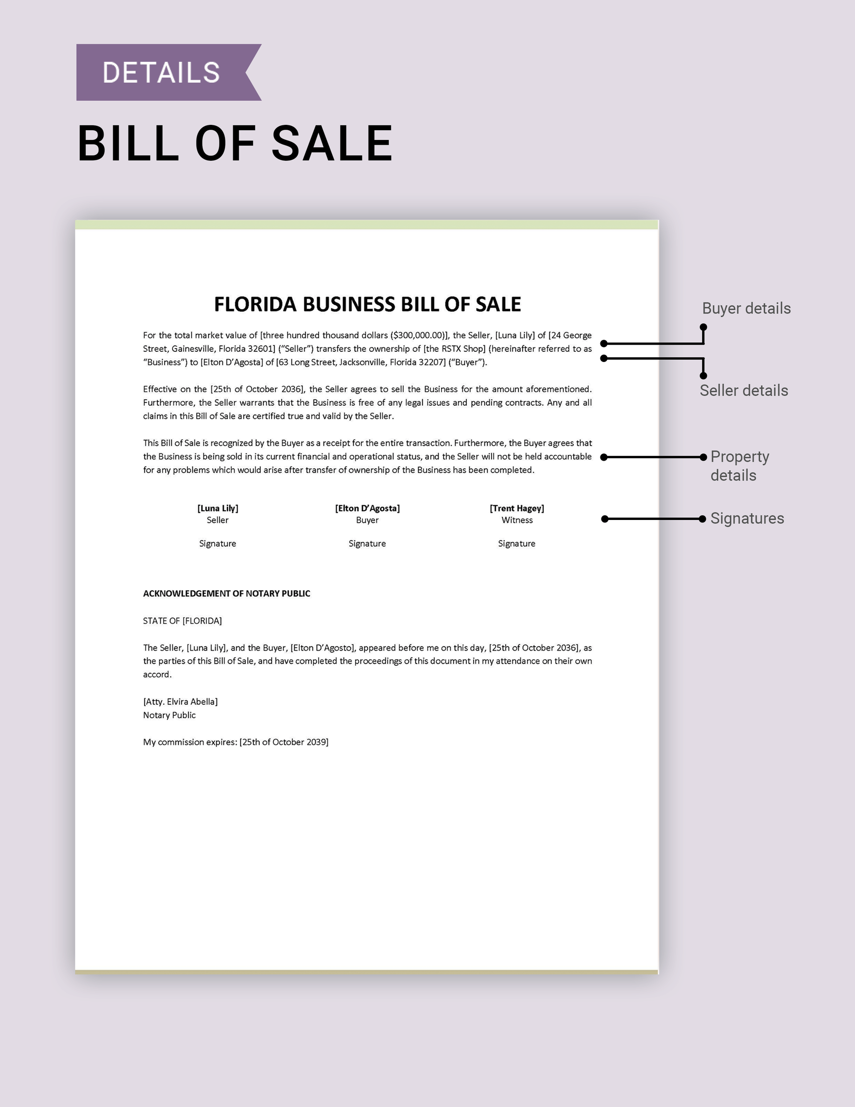 Florida Business Bill of Sale Template Download in Word, Google Docs