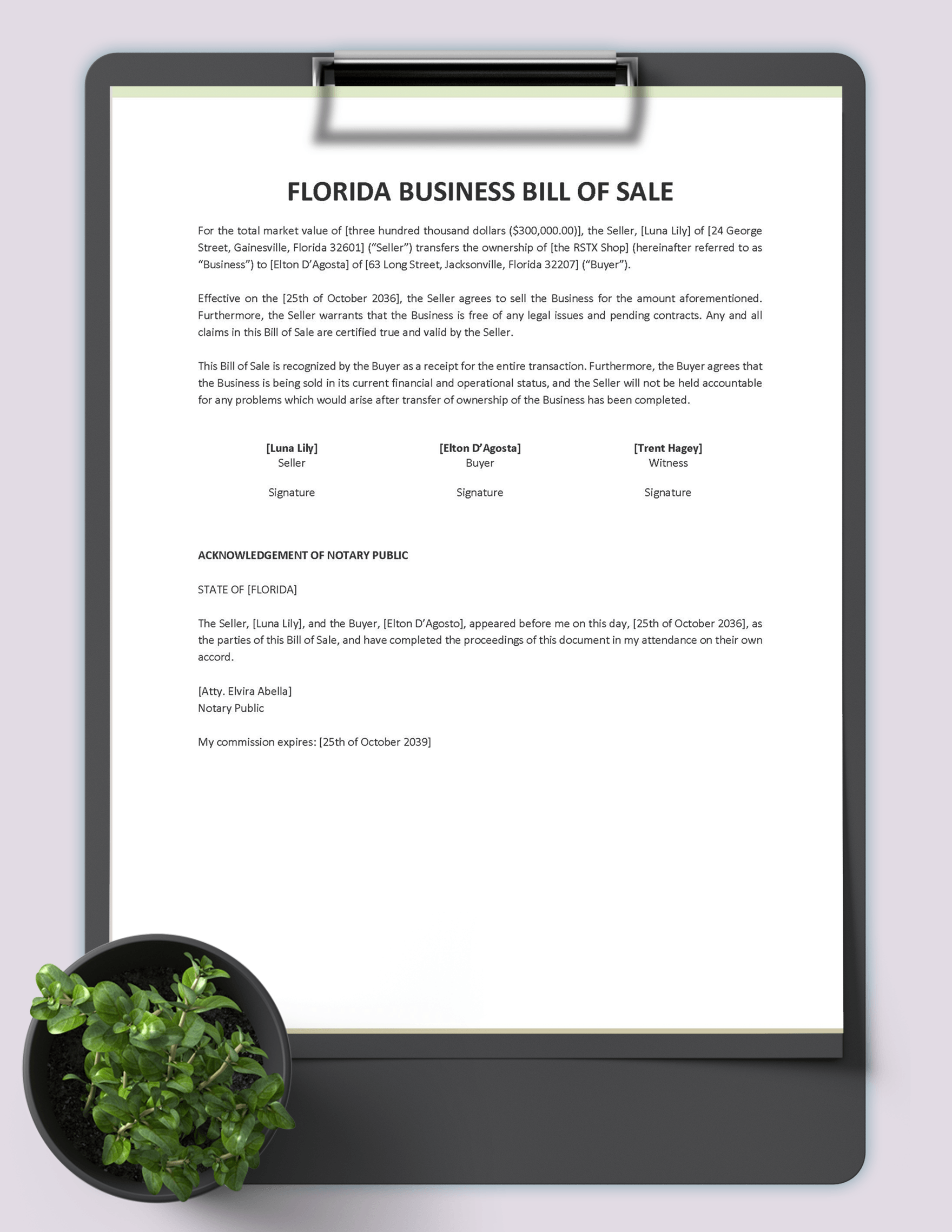 Florida Business Bill of Sale Template