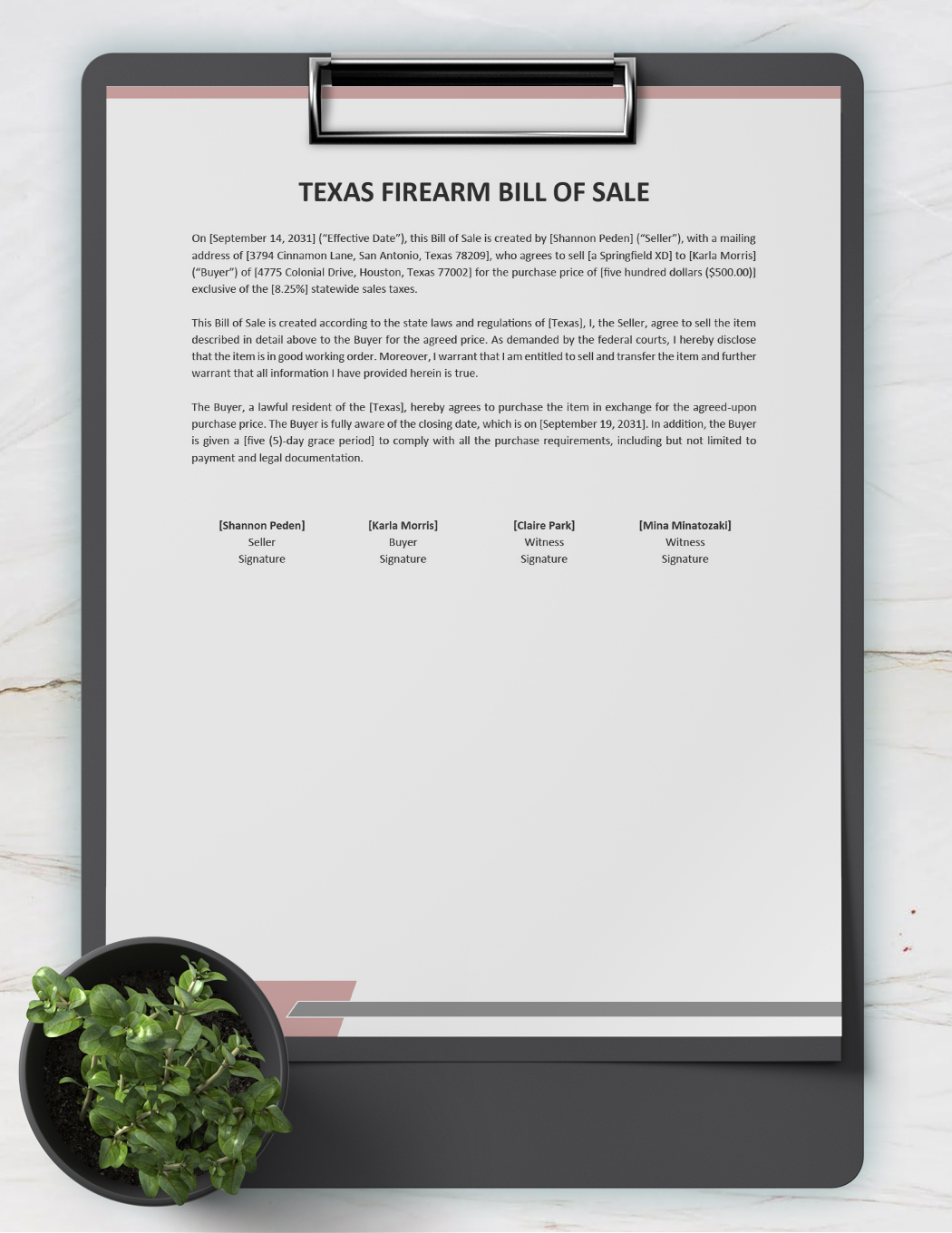 Texas Firearm/Gun Bill Of Sale Template