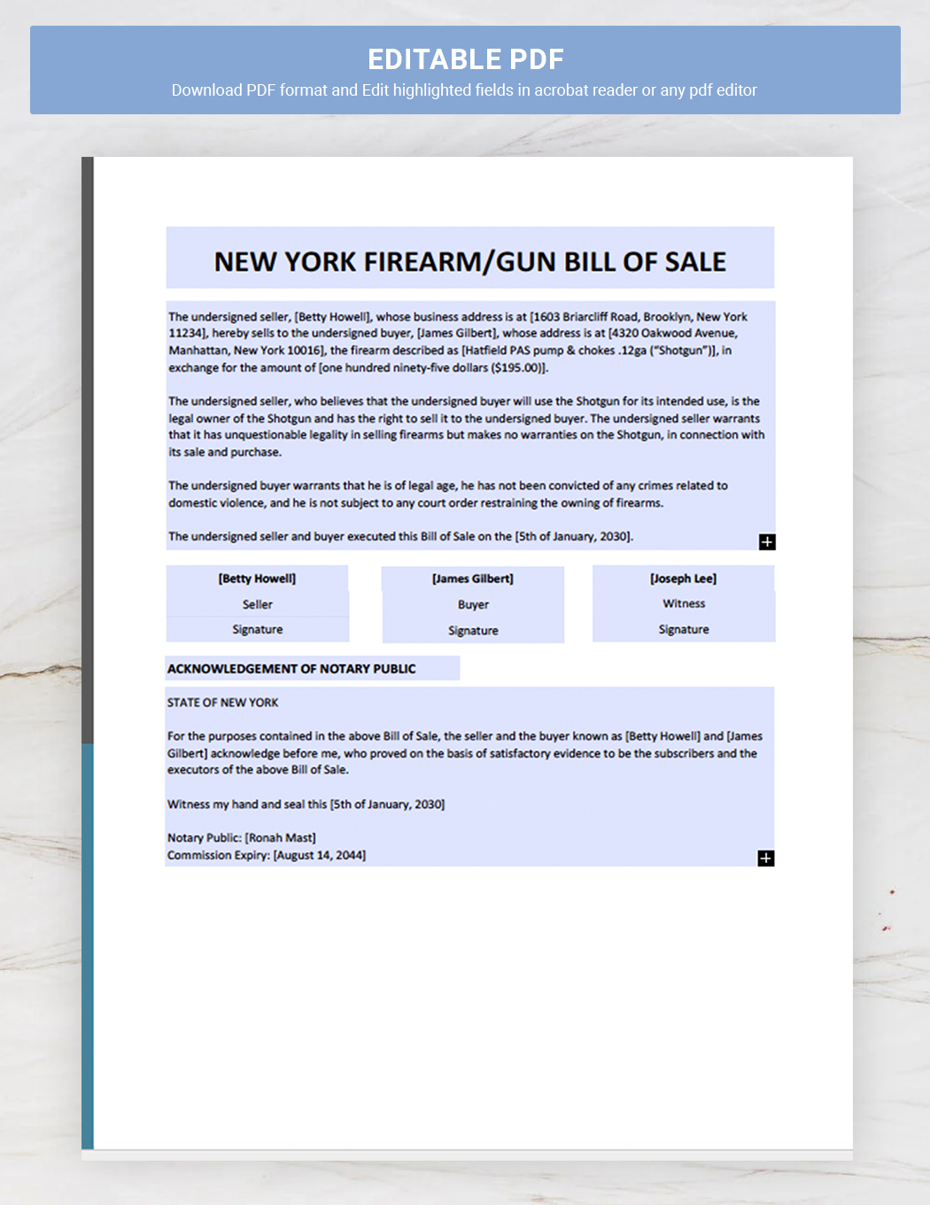 New York Firearm / Gun Bill of Sale Template
