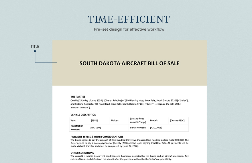 South Dakota Aircraft / Airplane Bill of Sale Form Template