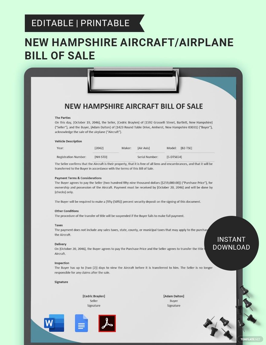 New Hampshire Aircraft/Airplane Bill of Sale Template in Word, Google Docs, PDF