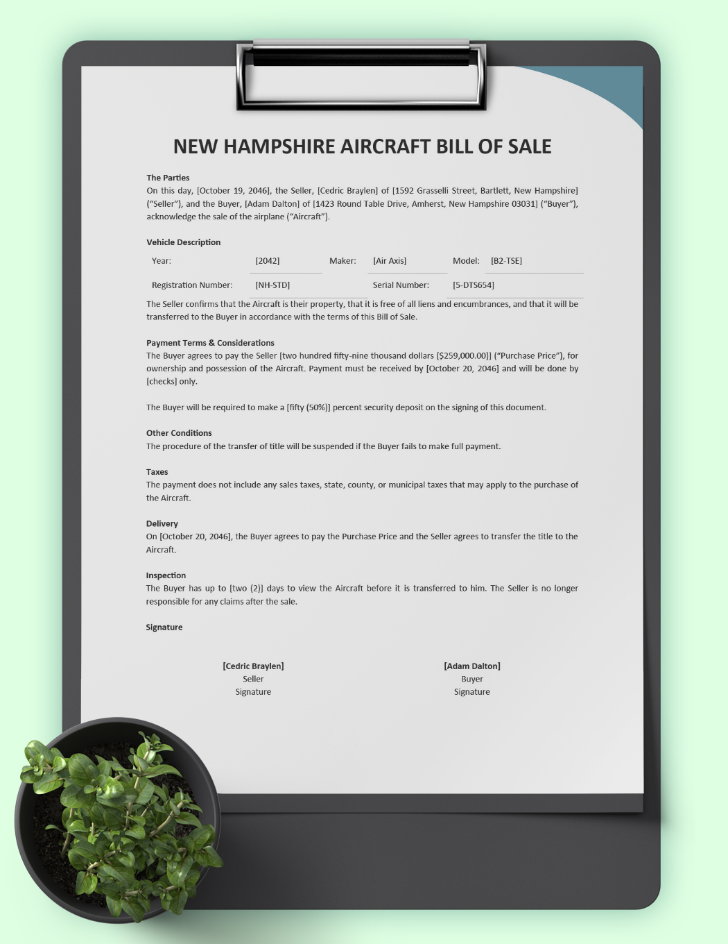 New Hampshire Aircraft/Airplane Bill of Sale Template