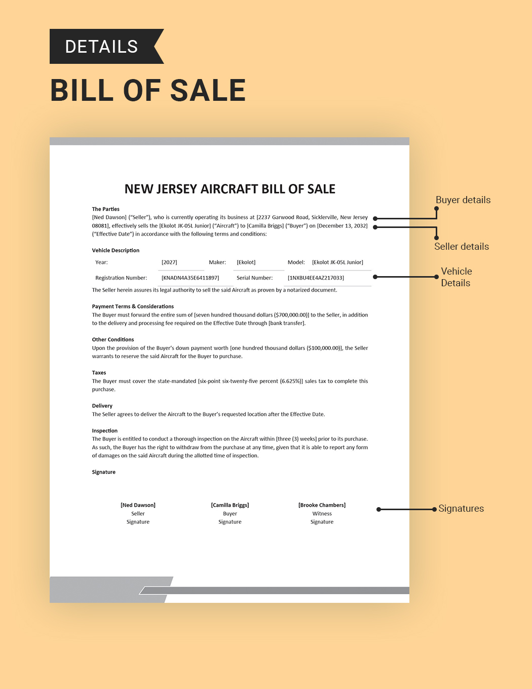 New Jersey Aircraft/Airplane Bill of Sale Template