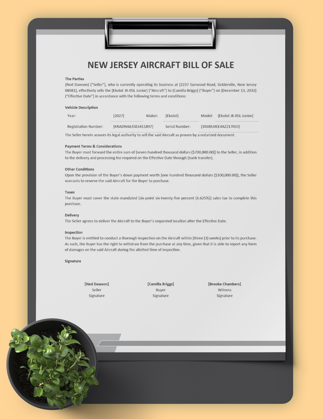 New Jersey Aircraft/Airplane Bill of Sale Template