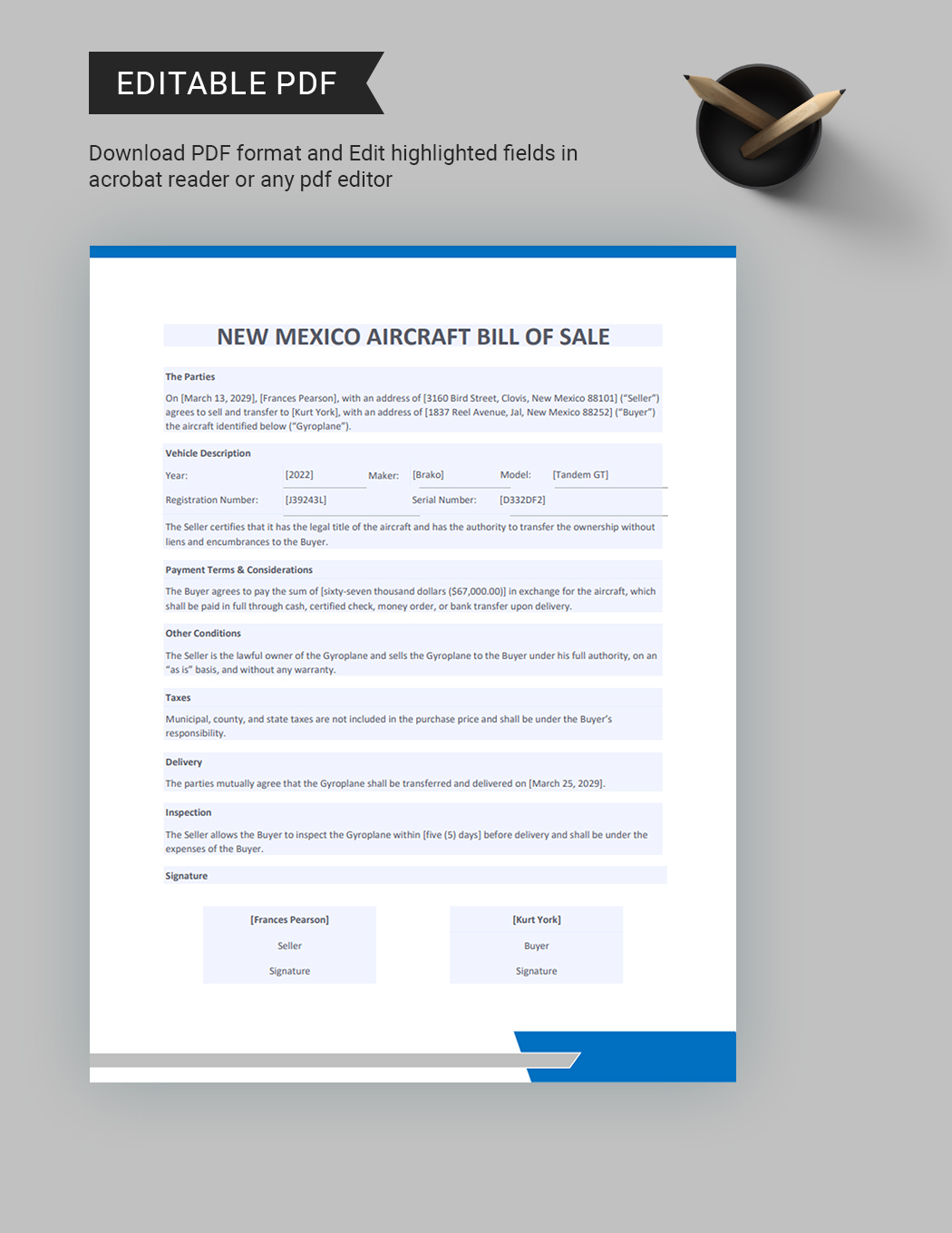 New Mexico Aircraft/Airplane Bill of Sale Template