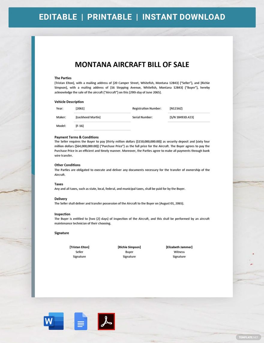 Montana Aircraft / Airplane Bill of Sale Template
