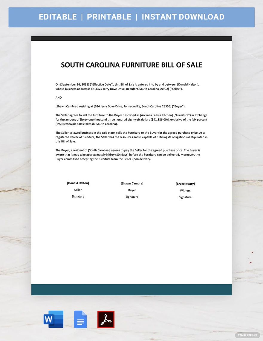 South Carolina Furniture Bill Of Sale Template