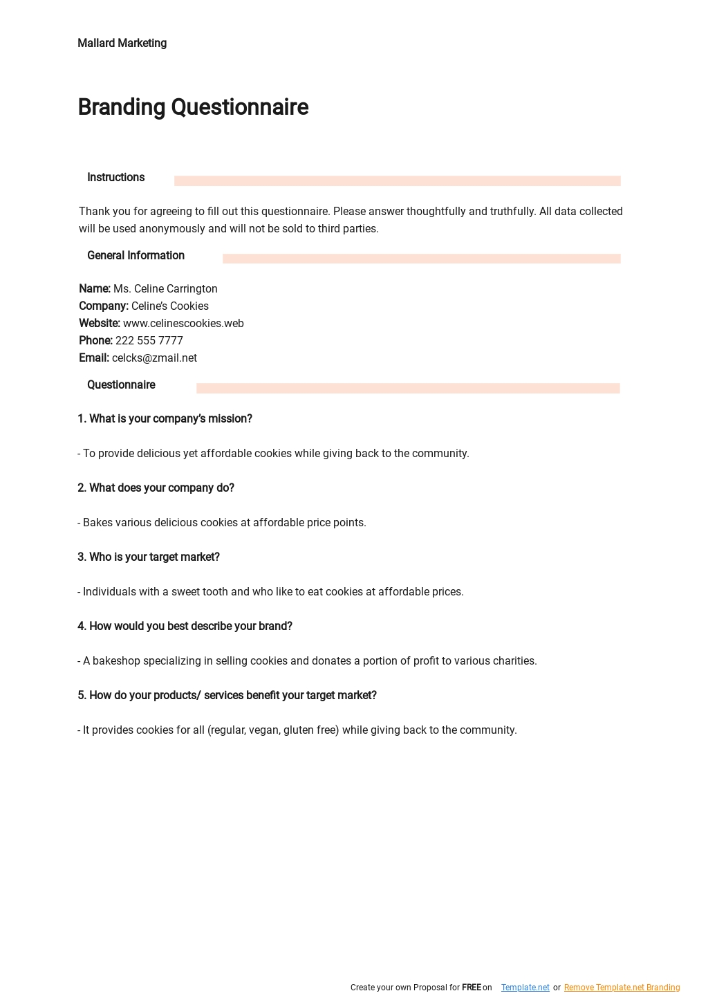 Branding Questionnaire Template Google Docs Excel Word PDF