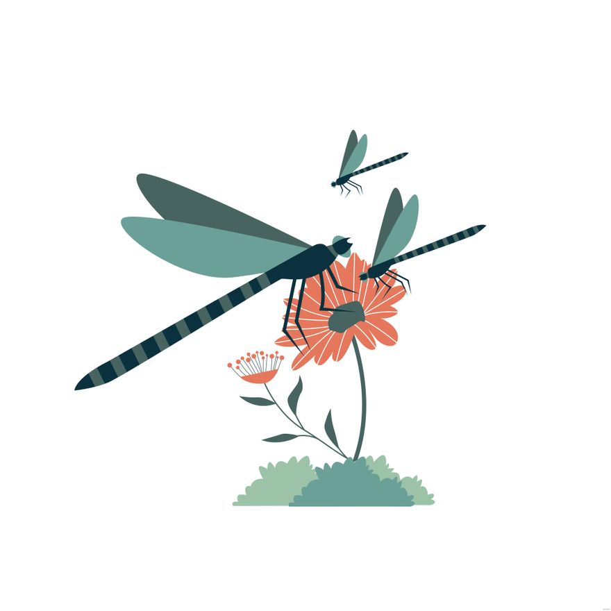 Free Insect Illustration in Illustrator, EPS, SVG, JPG, PNG