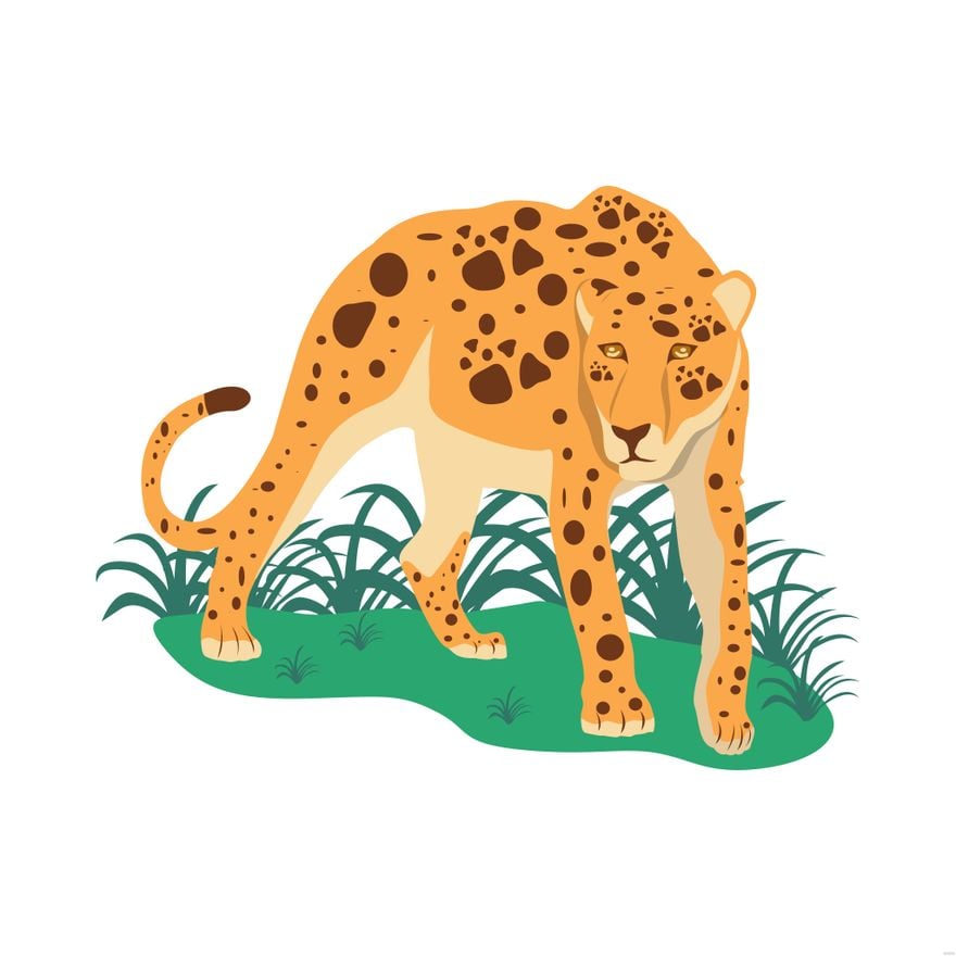 Free Leopard Illustration in Illustrator, EPS, SVG, JPG, PNG