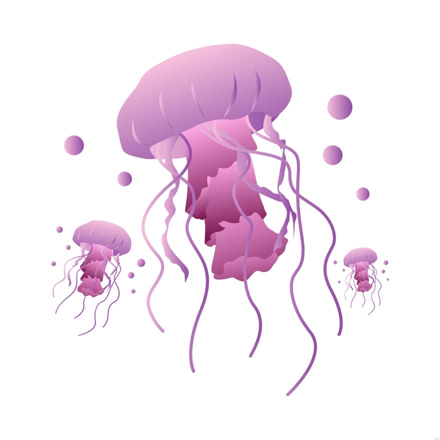 Jellyfish Illustration in Illustrator, EPS, SVG, JPG, PNG