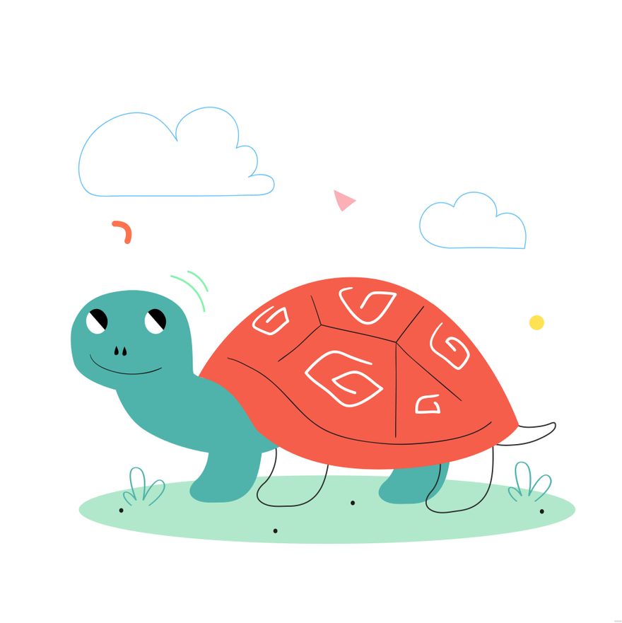 Free Tortoise Illustration