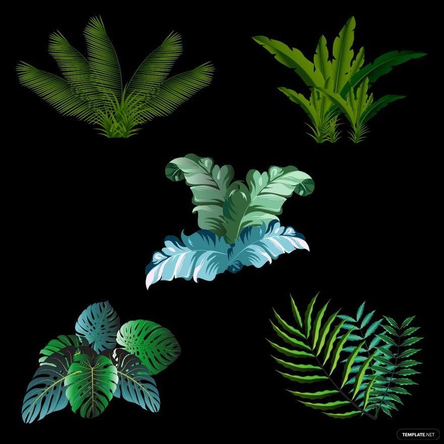 Free Palm Leaves Vector in Illustrator, EPS, SVG, JPG, PNG