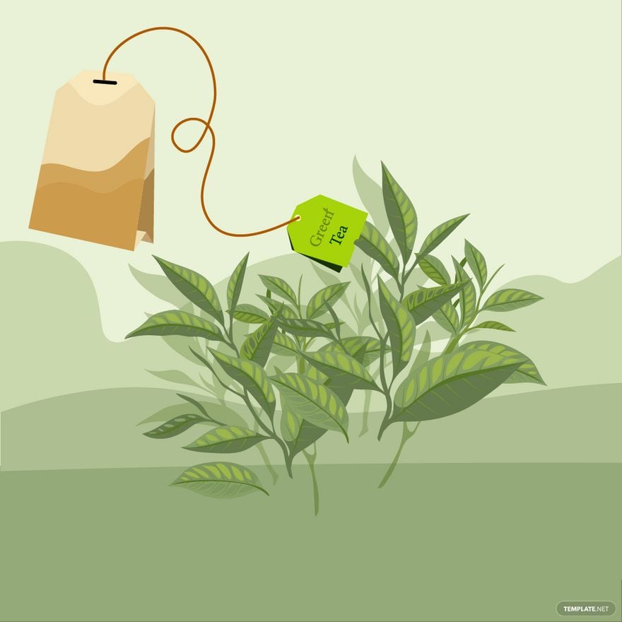 Tea Leaf Vector in Illustrator, EPS, SVG, JPG, PNG