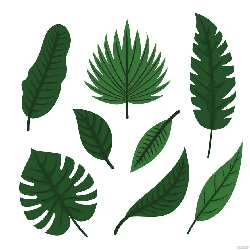 Free Green Leaf Vector EPS, Illustrator, JPG, PNG, SVG