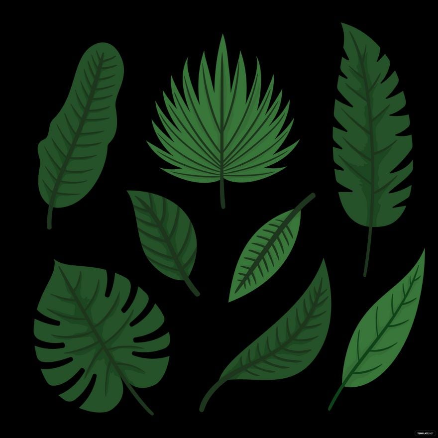 Green Leaf Vector in Illustrator, EPS, SVG, JPG, PNG