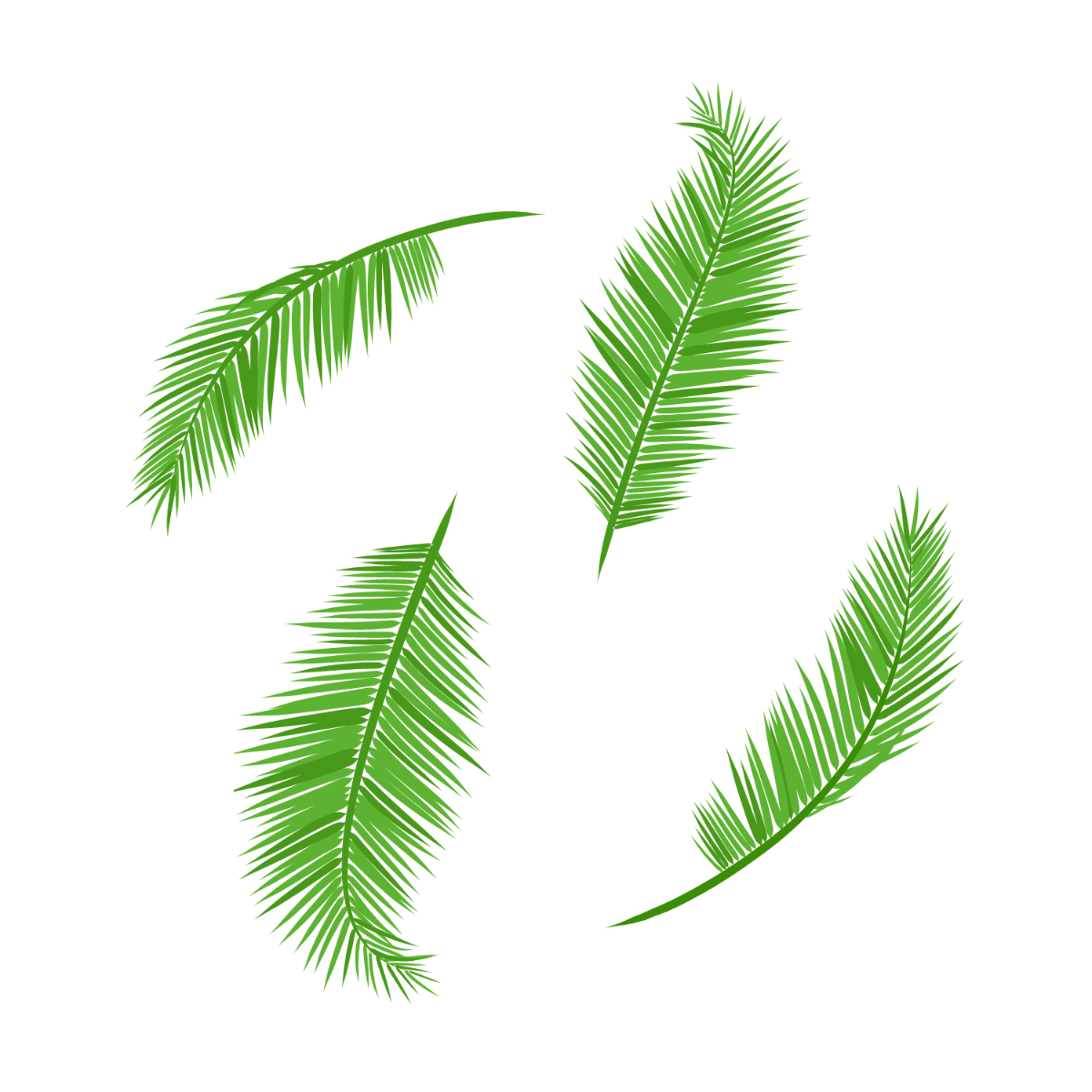 Free Coconut Leaf Lector Template