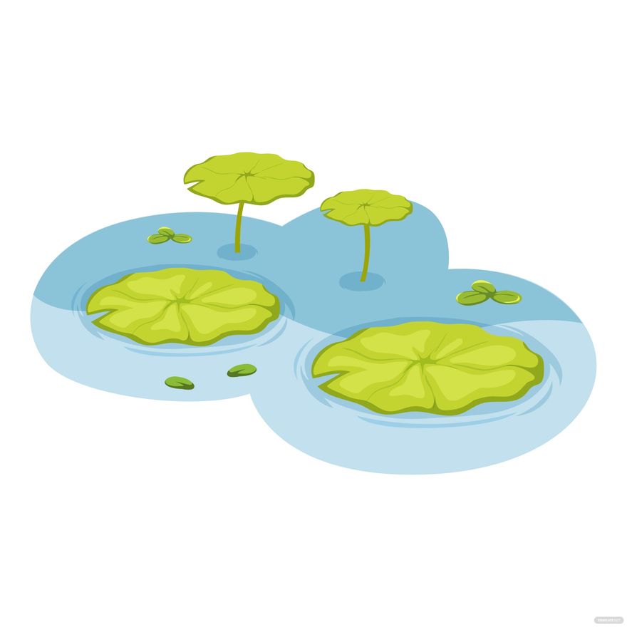 Lotus Leaf Vector in Illustrator, EPS, SVG, JPG, PNG