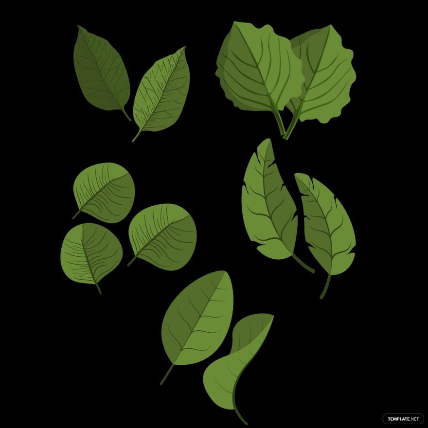 Free Mint Leaf Vector in Illustrator, EPS, SVG, JPG, PNG